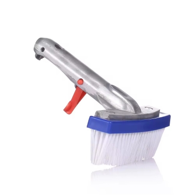 Pool Wall Brush