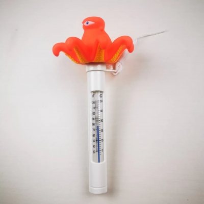 Pool Thermometer