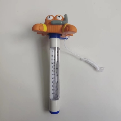 Pool Thermometer