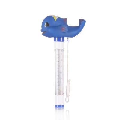 Pool Thermometer