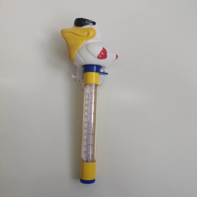 Pool Thermometer