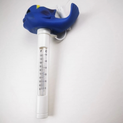Pool Thermometer
