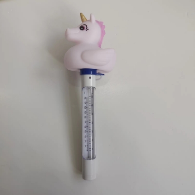 Pool Thermometer