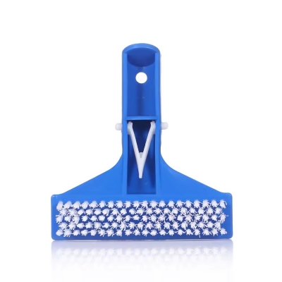Pool Wall Brush