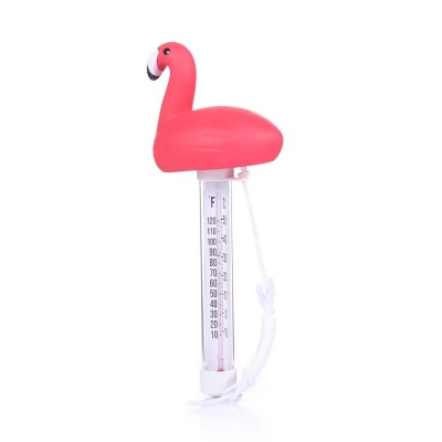 Pool Thermometer