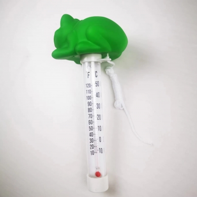 Pool Thermometer