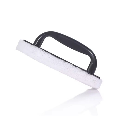 Pool Wall Brush