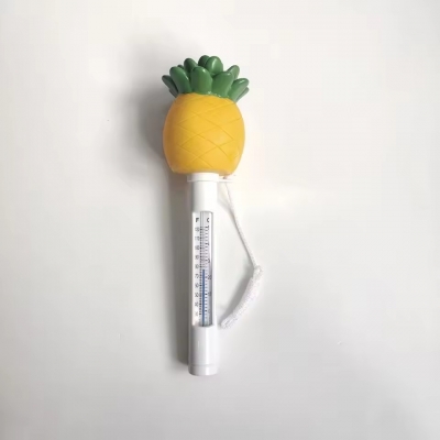 Pool Thermometer