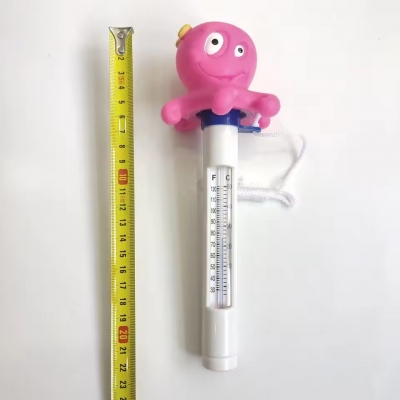 Pool Thermometer