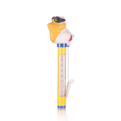Pool Thermometer