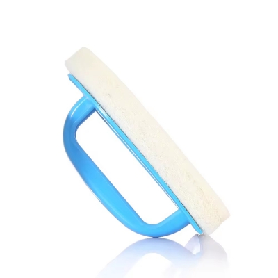 Pool Wall Brush